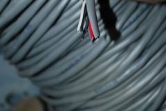 Belden 9156 2 Pairs, 18 AWG For Audio Control Instrumentation Cable AWM 2464