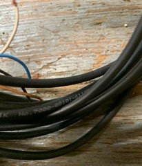 MURR ELEKTRONIK 7000-08101-6110500 WITH APPROX. 16′ OF CABLE