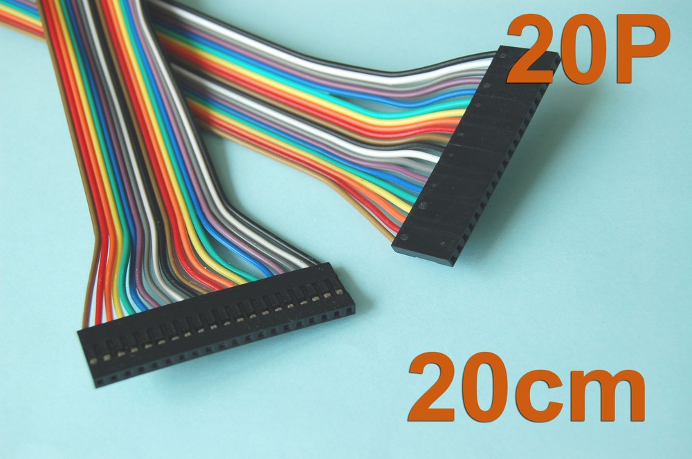 20 Pcs 20cm ( 7.9″ ) Length Dupont Wire Cable 20p 20p Pin Header 2.54mm Pitch
