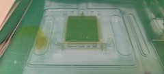Acacia Silicon Photonics Integrated Circuit Glacier PIC 800-0144-01 NEW