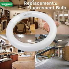 FC8T9 CW 22W Cool White Circular Fluorescent Light Bulb Round T9 22 Watt