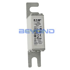 QTY: 1 FOR Bussmann fuse 170M1369 160A 690V