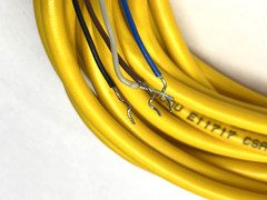 Turck PKG 4M-6 Single-Ended Cordset M8 Female Connector 4-Pin U0058-11