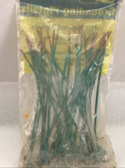 Dottie GP650 7-1/2″ Ground Pigtails 12 Ga Solid Copper Wire, Lot of 32 w/ Screw