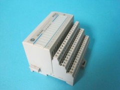 AB Allen Bradley Flex I/O 24 VDC Sink Input Module w/Base 1794-IB16