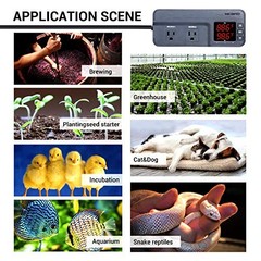 Temperature and Humidity Controller ITC-608T Pre-Wired Dual Stage English