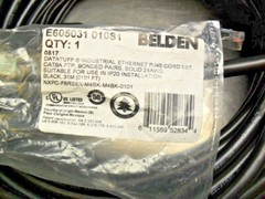 Belden E605031 010S1 Network Cable, RJ45 Plug, RJ45 Plug, 101 ft NEW