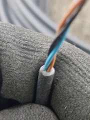 Beckhoff ZK2000-2100-0150: 3-Pin A-Coded Straight Sensor Cable M8 Male 300V IP67