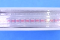 100 Vishay 33uF Conformal Coated Tantalum Capacitors 16V 720mOhm 595D336X0016B2T