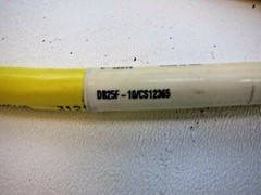 Turck DB25F-10/CS12365 Flying Lead Cable 12 foot Length
