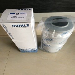 1PC NEW FIT FOR PI24100DNSMX16 Hydraulic oil filter element