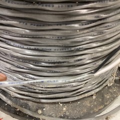 Belden E34972-BN 12 AWG 2 Conductor Stranded Cable 75C 2C12 2C/12 1PR/12 FPLR
