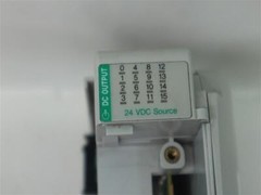 Allen-Bradley Output Module w/o Terminal w/ 1769-ECR Right End Cap/Terminator