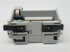 Allen-Bradley Output Module w/o Terminal w/ 1769-ECR Right End Cap/Terminator