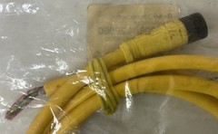 NEW BRAD CONNECTIVITY 706000D02F060 MICRO CHANGE CORDSET 6P FEMALE , FREE SHIP
