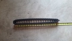 igus cable carrier
