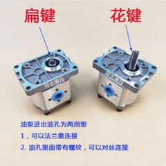 Gear Pump CBN-F306/F314/F316/F320/F325 Hydraulic Oil Gear Pump Spline Flat Key