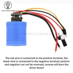 DC9V12V24V 100000RPM BLDC 3-Phase Ultra High Speed Brushless Motor w/ Driver Fan