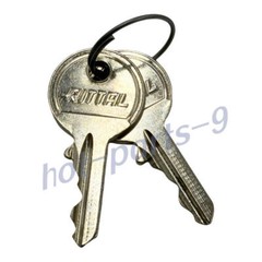 1Pair (2Keys) Fit Rittal 2532000 Enclosure Key NEW