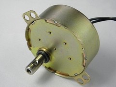 TYC-50 110V AC Permanent Magnet Synchron Motor, 10/12 RPM CW/CCW Electric Motor
