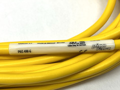 Turck PKG 4M-6 Single-Ended Cordset M8 Female Connector 4-Pin U0058-11
