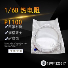 38/5000 All-ptfe high-precision corrosion-resistant PT100 thermal resistance