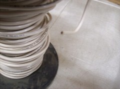 #21) NEW Spool of Electric Wire – 10 Guage Solid 165′ White
