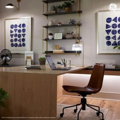 GE 200W Ultra Bright A21 LED Light Bulb Daylight, 3010 Lumens, 23 Watt