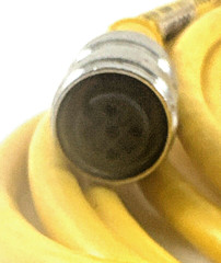 Turck U218-11 EuroFast Single End Cordset, 5 Pin Straight Female, new (VV)