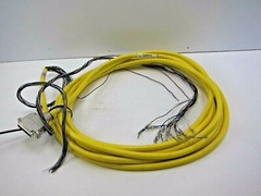 Turck DB25F-30/CS12365 Flying Lead Cable 16 foot Length