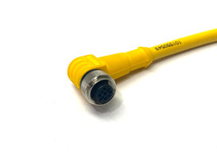 Turck WKC 4.5T-0.5-RSC 4.5T/CS10288 Eurofast Double Ended Cordset U-58636