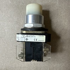 Allen Bradley 800T-QT24 White Push Button Series T 800TQT24 Ser T