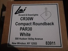 CR30W LSI Accent & Downlights Compact Roundback PAR30 White Flood Lamp Fixture