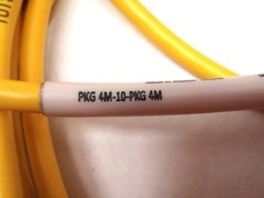 Turck PKG 4M-10-PKG 4M Picofast 4 Wire Female to Female Cordset U-23001