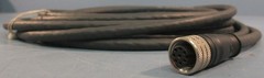 Balluff BIS Z-501-PU1-05/M Double Ended Cordset BCC00RA 8 Pin