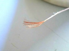 MGTF 20m 66ft – 0.10mm2 USSR Copper Teflon