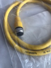 Turck RKC 4.4T-1-RSC 4.4T Cordset M12 Female to Male U5262