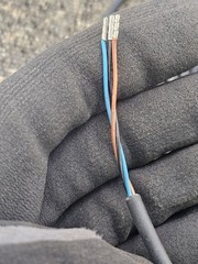 Beckhoff ZK2000-2100-0150: 3-Pin A-Coded Straight Sensor Cable M8 Male 300V IP67