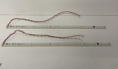 Lot of 2 AcuityBrands 401-00886-001 Rev A LED Light 3500K Strips 21 1/8”
