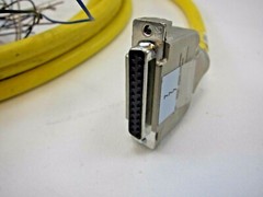 Turck DB25F-10/CS12365 Flying Lead Cable 12 foot Length