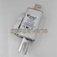 1 Pc. New RS306-01-T5Z-D 80A 1250V fuse