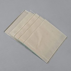 BIO-RAD 1 Box of 5 PCS of Mini-PROTEAN Glass Spacer Plates W/ 1.0mm Spacers 1653
