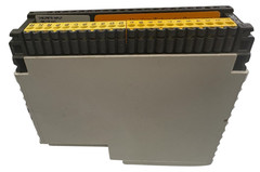 Schneider Automation DEP218/AS-BDEP-218 Discrete Input 16pt. 115VAC Module