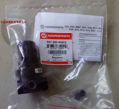 1PC NEW FIT FOR R07-200-NNKB Pipe Connection Pressure Regulating Valve