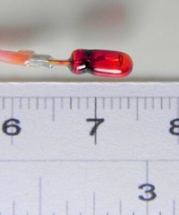 Bulb – 3Mm Miniature – Pack Of 5 – Color And Voltage Of Your Choice