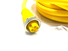Balluff BCC0A8F Power Connection Cable Sgl-Ended BCC A314-0000-10-003-EX44W6-100