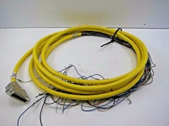 Turck DB25F-10/CS12365 Flying Lead Cable 12 foot Length