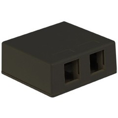 ICC 2-port Surface Mount Box (surface2bk)