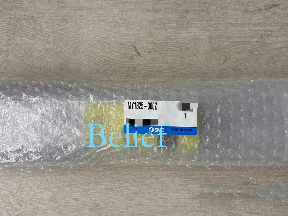 1pc MY1B25-300Z cylinder brand new Rapid shipment