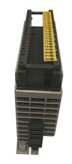 Schneider Automation DEP218/AS-BDEP-218 Discrete Input 16pt. 115VAC Module